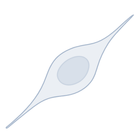 Neurogenesis