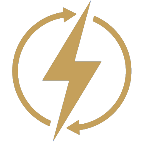 Mitochondrial Support